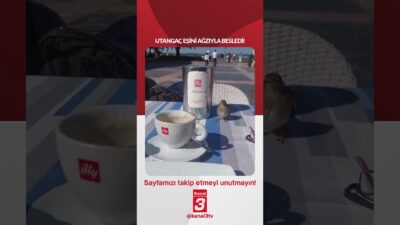 Utangaç eşini ağzıyla besledi! 📶https://kanal3.com.tr/ Sosyal Medya Hesaplarımızı Takip Ederek