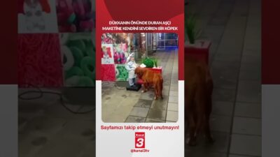 Dükkanın önünde duran aşçı maketine kendini sevdiren bir köpek… 📶https://kanal3.com.tr/