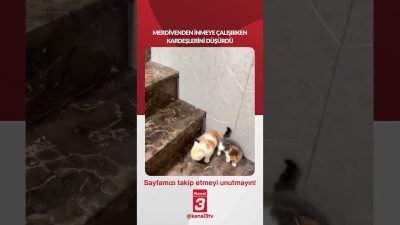 Merdivenden inmeye çalışırken kardeşlerini düşürdü… 📶https://kanal3.com.tr/ Sosyal Medya Hesaplarımızı Takip