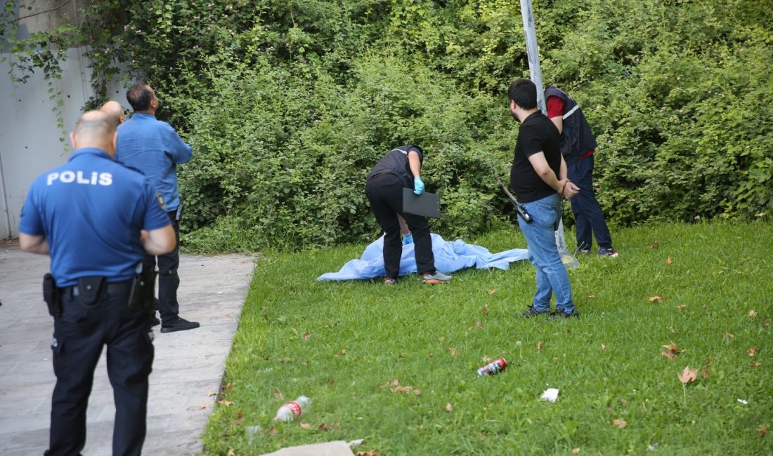 Antalya'da Konyaaltı Sahili'nde bulunan yaklaşık 35 metrelik panaromik asansörden manzara