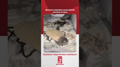 Kanal 3Per, Haziran 4, 2026 6:30amURL:Embed:Bir kadın, kedilerine hamam böceği