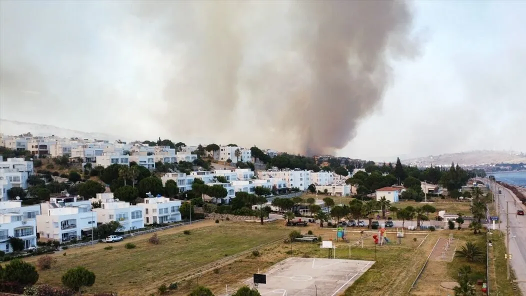 Bursa ve İzmir'deki orman yangınları kontrol altına alındı