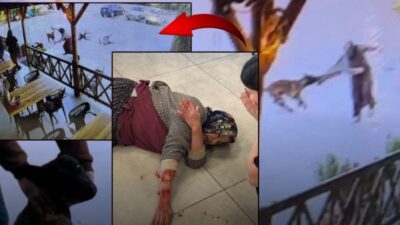 Afyonkarahisar'da kızıyla birlikte dinlenme tesisine gelen kadına saldıran köpek, kadının