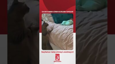 Kanal 3Paz, Haziran 7, 2026 4:00pmURL:Embed:İlk defa bebek gören kedilerin