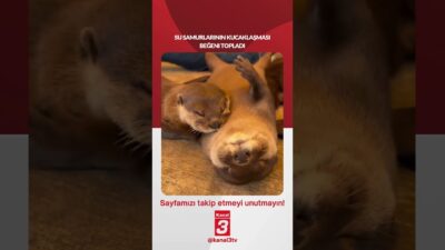 Su samurlarının kucaklaşması, beğeni topladı… 📶https://kanal3.com.tr/ Sosyal Medya Hesaplarımızı Takip