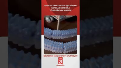 Banyoya giren fareyi su şişelerinden yaptıkları koridorla yönlendiren ev sahipleri…