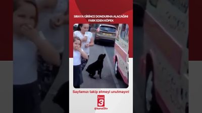 Sıraya girince dondurma alacağını fark eden köpek… 📶https://kanal3.com.tr/ Sosyal Medya