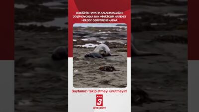 Bebeğinin hayatta kalamayacağını düşünüyordu; ta ki minicik bir hareket her