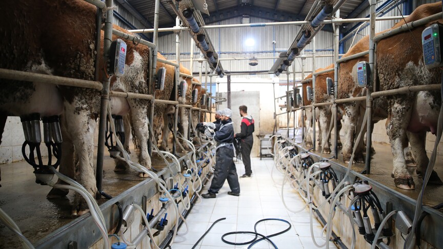 Tarım ve Orman Bakanlığı tarafından üreticilere son 6 yılda 24,6