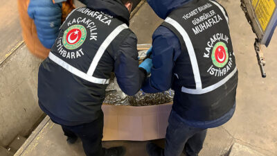 Gümrükler Muhafaza ekipleri, Mersin Limanı ve Ağrı'da Gürbulak Gümrük Kapısı'nda