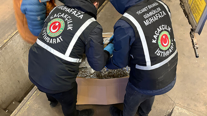 Gümrükler Muhafaza ekipleri, Mersin Limanı ve Ağrı'da Gürbulak Gümrük Kapısı'nda