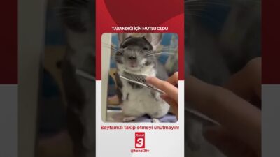 Kanal 3Sal, Haziran 23, 2026 4:00pmURL:Embed:Tarandığı için mutlu oldu… 📶https://kanal3.com.tr/