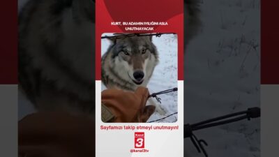 Kanal 3Per, Haziran 4, 2026 12:00pmURL:Embed:Kurt, bu adamın iyiliğini asla